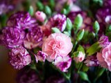 IMG_3446.jpg