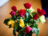 IMG_3450.jpg