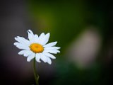 IMG_3478.jpg