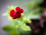IMG_3564.jpg