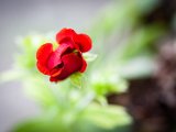 IMG_3575.jpg