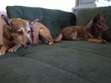 IMG_3761.CR2