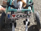 IMG_3811.CR2
