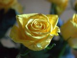 IMG_3926.CR2