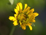 IMG_3961.CR2