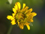 IMG_3970.CR2