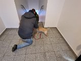 20240107_160116(0).jpg