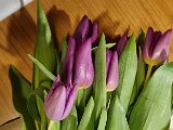 20240209_131605(0).jpg