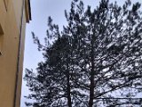 20240209_164247.jpg