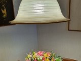 20240330_155747.jpg