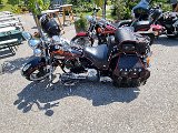 20240711_140456.jpg