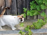 20240712_113924.jpg
