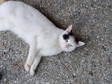 20240712_114201.jpg
