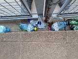 20240712_123542.jpg