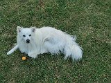 20240717_185140(0).jpg