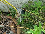 20240830_103125.jpg