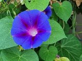 20240901_100025.jpg