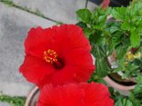 20240902_121127.jpg
