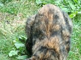 20240815_164549.jpg
