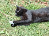 20240815_165608.jpg