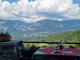 20240817_125106.jpg