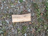 20240921_113847(0).jpg