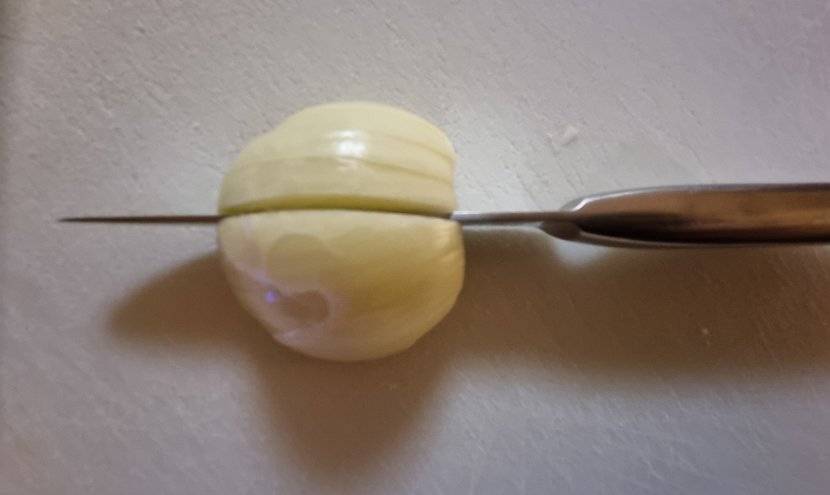 20240104_202503