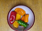 20240130_224132.jpg