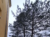 20240209_164248.jpg