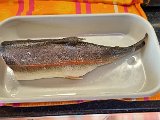 20240412_174129(0).jpg