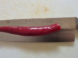 20240413_204921.jpg