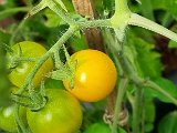 20240728_155444(0).jpg