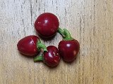 20240803_210826.jpg