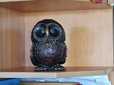 20240412_112158.jpg