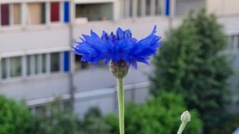 20240520_200247