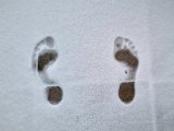 20240108_125845.jpg