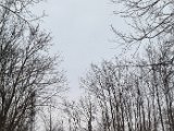 20240108_151510.jpg