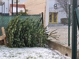 20240111_152952.jpg