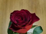20240127_005941.jpg
