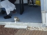20240214_120639.jpg