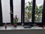 20240217_145641.jpg