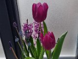 20240218_112827.jpg
