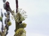 20240221_071007.jpg