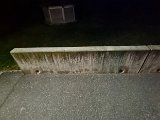 20240226_043905.jpg