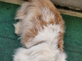 20240226_153635_Luna.jpg