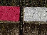 20240228_045304(0).jpg