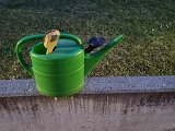 20240228_180201.jpg