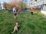 20240229_154237.jpg
