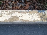 20240304_124110.jpg