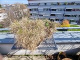 20240317_130423.jpg